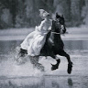 Meet your Posher, Lee